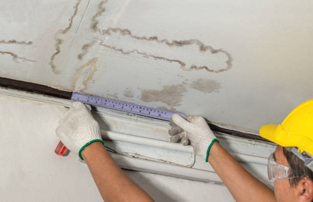 Affordable Water Damage Repair solutions in Lake Junaluska, NC